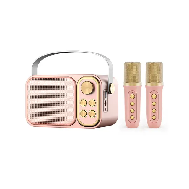 Mini hine se 2 bezdrátovými mikrofony Přenosný Bluetooth reproduktor Děti Karaoke hine pro dívky Ideální narozeninová párty_voghion.com