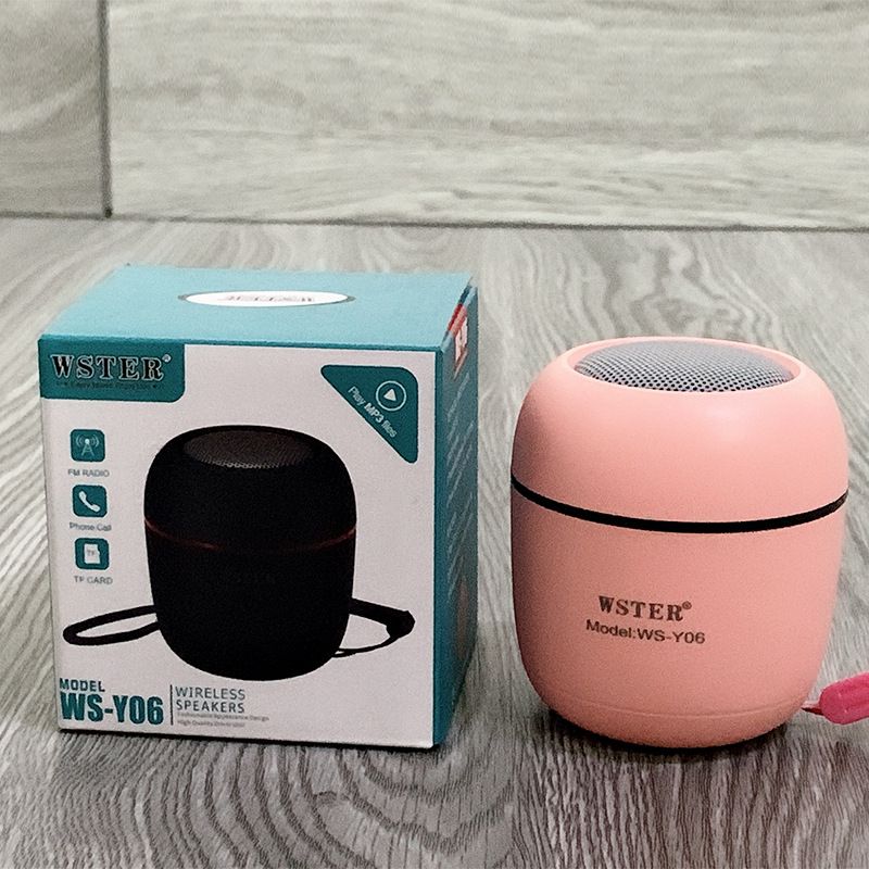 2021 New Wireless Bluetooth Speaker Portable Home Large Volume Plug TF Card Small Audio Gift WS-Y06_voghion.com