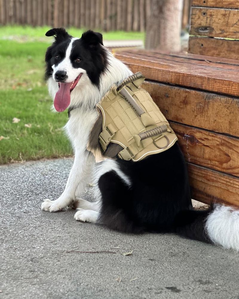 Arnês tático para cães de 1 unidade, para cães grandes, ajustável, refletivo, militar, colete de serviço para cães de malha respirável com alça de fácil controle_voghion.com