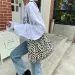 Japanese And Korean Ins Modern Small Leopard Print Messenger Single Shoulder Canvas Bag For Female Student 250114_voghion.com