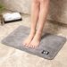 2022 Household Strong Water Absorbent Bathroom Carpet Floor Mat Coral Plush Straight Plush Living Room Bedroom Foot Mat_voghion.com