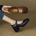 Treasure Of The Store: Super Comfortable Color-Block Strap Chunky High Heels Mary Jane Women's Leather Shoes_voghion.com