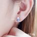 Cao Shi Korean Version Exquisite Dolphin For Women Sweet Mini Animal Zircon Small Earrings Sleep Without Removing_voghion.com