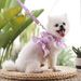 Adjustable Mesh Harness Leash For Dogs_voghion.com