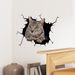 Realistic cat car JS-NPVC self-adhesive decoration removable wall sticker_voghion.com