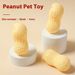 Haustierstimme Erdnuss-Langeweile-Linderungsartefakt Zahnknirschen Bissfestes Corgi Teddy Chai kleines Hundespielzeug_voghion.com