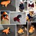 Hundekleidung für kleine Hunde, warme Kleidung für Hunde, Mantel, Welpen-Outfit, Haustierkleidung für große Hunde, Hoodies, Chihuahua, 45_voghion.com