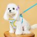 Pet Supplies Cartoon Big Eye Teddy Bichon Vest Style Small Walking Leash Puppy Chest Harness Dog_voghion.com