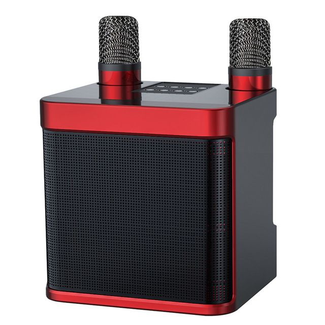YS-203K karaokemikrofoni heli KTV juhtmeta Bluetoothi ​​kahe mikrofoni kõlariga mikrofon iintegreeritud masin_voghion.com