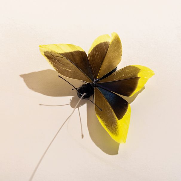 New Realistic Butterfly Pet Toy Cat Teaser Wand Replacement Head_voghion.com