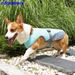 Sommerkühlweste für Hunde, atmungsaktive Netzjacke, universelle Outdoor-Abkühljacke für Haustiere für Hunde, verstellbarer Kaltmantel für Hunde_voghion.com