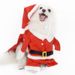 Set 3D con cappello e trasformazione del cane, con stampa di albero di Natale sul retro, vestiti per animali domestici_voghion.com