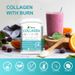 Winstown Collagen Burn Stoffwechsel-Cellulite-Kontrollpulver_voghion.com