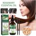 Jayswing Rosemary Strengthens Firms Hair, Moisturizes Thick Hair and Skin Care Multi effect Essential Oil_voghion.com