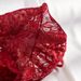 Intimo da donna, rosso vino, in pizzo, stile Passion Temptation, con cuciture in raso, sexy, due pezzi_voghion.com
