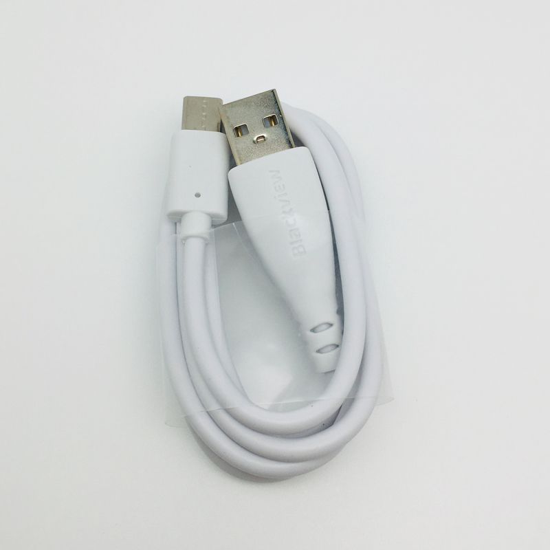 Unbeatable Quality Original Blackview Pro Conforming To European Standard Data Bv8000 Charger + Cable_voghion.com
