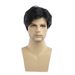Men's Wigs Gray And White Side Parted Short Straight Hair Elastic Net Chemical Fiber Short Wig_voghion.com