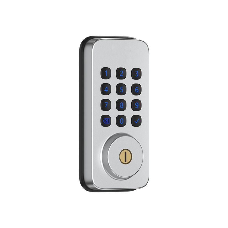 Serrures et entrées intelligentes pour portes intérieures Entrée sans clé avec empreinte digitale/code PIN/carte Conception à cylindre unique Verrouillage automatique silencieux_voghion.com