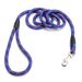 Pet Professional Competition Small And Medium-sized Dog Leash Blue_voghion.com