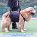 Elderly Outdoor Convenient Leg Support Rehabilitation Dog Harness_voghion.com