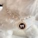 Pet collar Alloy pendant collar Dog cat neck necklace_voghion.com