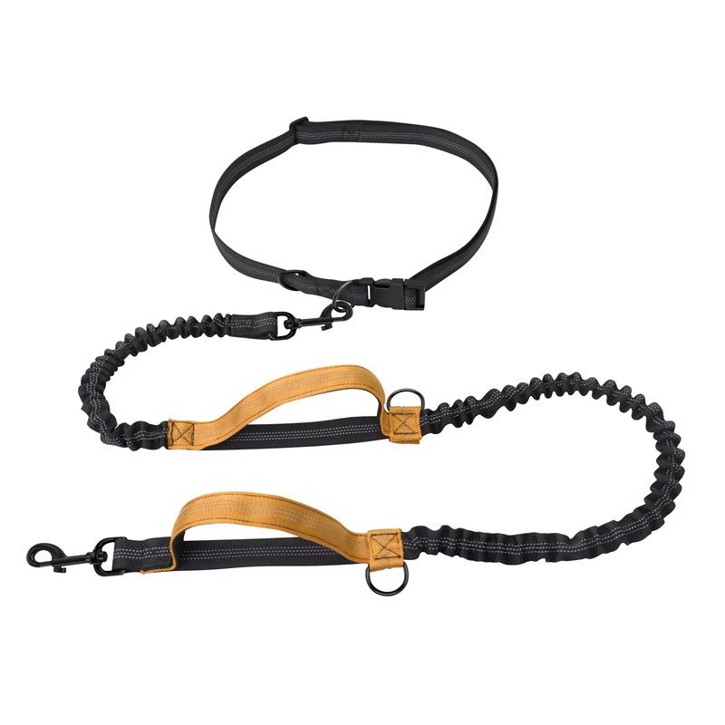 Pet Supplies Portable Elastic Running Double Retractable Rope Dog Chain Leash_voghion.com