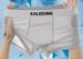 Ultra-Breathable Mesh Boxer Briefs For Men – Lightweight Low-Rise Underwear With Cooling Ice Silk Fabric (L-XXXXL) – Multi-Pack Solid Colors_voghion.com
