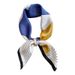 Spring And Autumn New 70 Small Square Silk Tie Scarf For Women Versatile Headscarf Hair Accessory Trendy_voghion.com