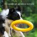 EVA-Hundespielzeug-Set, 4er-Pack: Frisbee, Ball und Zerrseil für Welpen und erwachsene Hunde, kausicher, Zahnreinigungsset (Bestseller 2024)_voghion.com