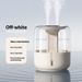 Large Capacity Humidifier With Dual Spray, Night Light & Negative Ion - USB Powered, Quiet For Home, Office, Dorm_voghion.com