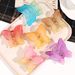 Double-Layer Butterfly Claw Clip - Matte Gradient Premium Summer Hairpin - Sweet Cute Rainbow Half-Updo Back-of-Head Accessory_voghion.com