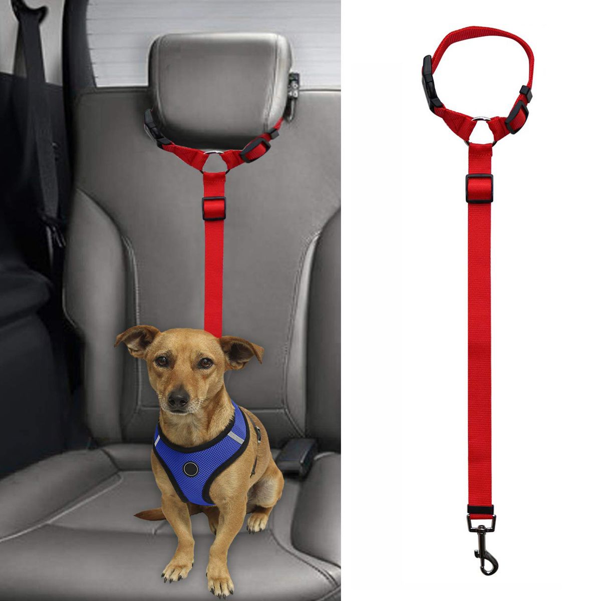 Set di cinture di sicurezza per auto per animali domestici, tipo sedile, quattro colori, lunghezza regolabile, corda per cani_voghion.com