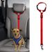 Set di cinture di sicurezza per auto per animali domestici, tipo sedile, quattro colori, lunghezza regolabile, corda per cani_voghion.com