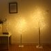 Luci a LED per alberi di betulla per decorazioni natalizie - Opzioni bianco caldo e bianco freddo - A batteria e con telecomando_voghion.com