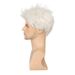 Hair Extensions Wigs Men's White Wigs High Temperature Silk Chemical Fiber Short Head Cover Fashion Wigs_voghion.com