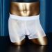 LuvBox Qinghe Intimo da uomo a forma di U, calze lucide, pantaloncini, set JJ trasparente ultra sottile, boxer separati_voghion.com