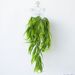 Tenture murale en gazon artificiel 5 fourches cheveux pointus herbe fougère tenture murale plante intérieure et extérieure décoration murale matériel vignes d'herbe en plastique_voghion.com