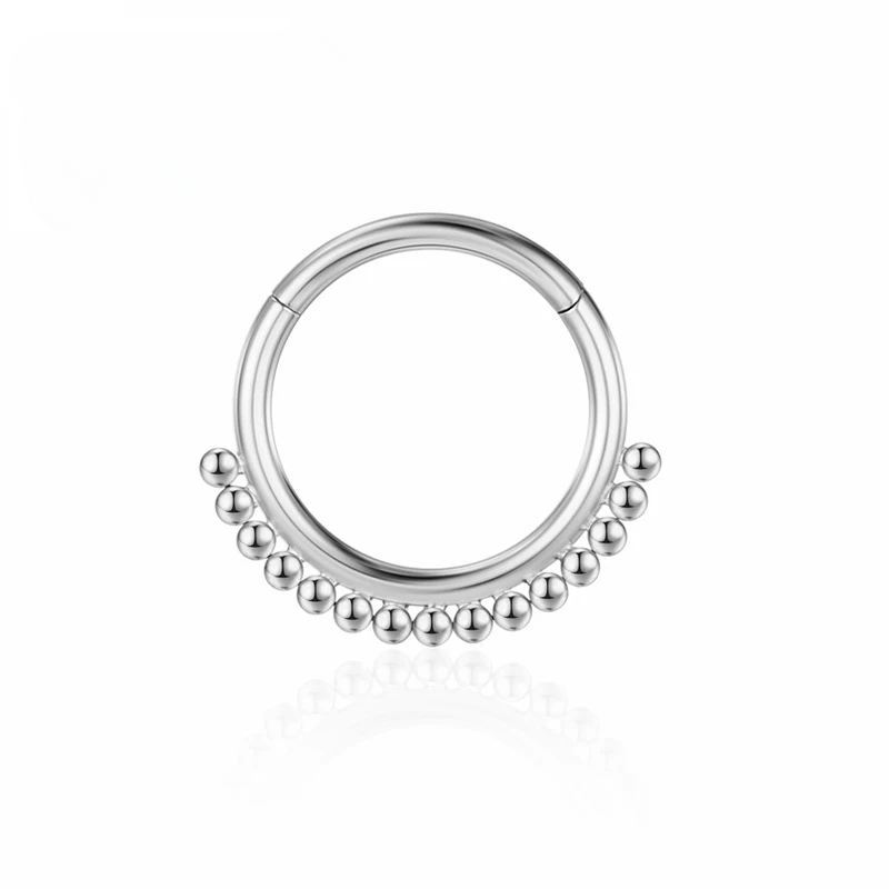 F136 Titanium Piercing Nose Ring Helix Septum 16G Earrings Hinged Segment Clicker Zircon Labret Ear Tragus Cartilage Jewelry wholesale_voghion.com