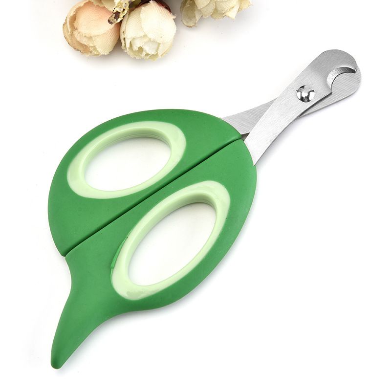 Ciseaux en acier inoxydable en forme de feuille pour chien et animal de compagnie_voghion.com