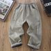 Boys' Fleece-Lined Cargo Pants - Winter Warm Thickened Trousers For Big Kids, Windproof Casual Joggers With Elastic Waist (Khaki, Iron Grey)_voghion.com