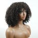 Synthetic wig cover mechanism explosive head Afro kinky curly rose net bangs wigs_voghion.com