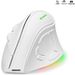 Digitex Digitex 2.4G Bluetooth Dual Mode Ergonomic Vertical 4000DPI 9 Keys RGB Backlit Rechargeable Silent Mouse_voghion.com