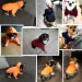 Cappotto Belmil per cani di piccola taglia di PawParty Store_voghion.com