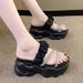 Mesh Wedge For Women, Summer New Korean Fashion Open-Toe One-Strap Beach Sandals, Trendy Outdoor Slippers_voghion.com