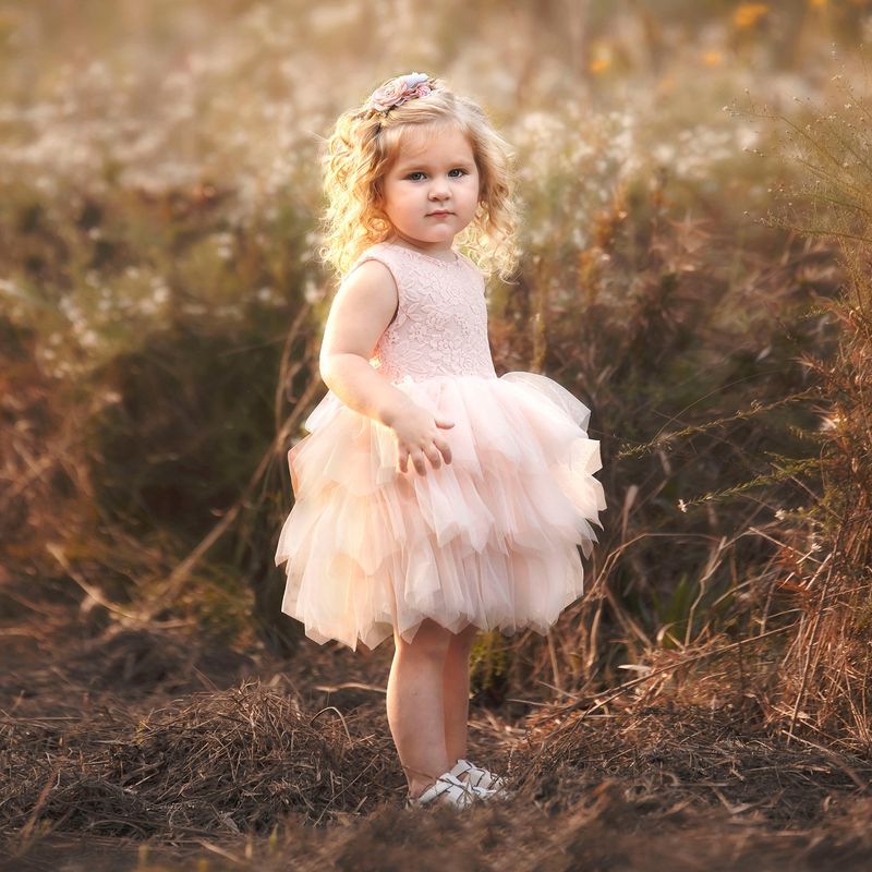 Kids' Clothing Girls Dress Embroidered Multi Layer Mesh Cake Princess Dress Children's Birthday Christmas Performance Dress_voghion.com