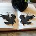 Earrings Gothic acrylic crow earrings_voghion.com