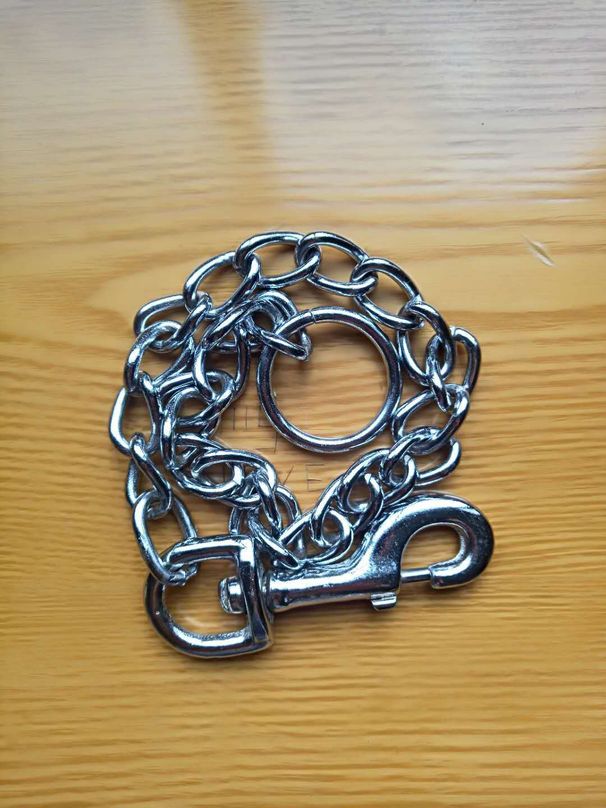 Stainless Steel Leash Universal Double Head Pet Outing Iron Chain Dog Rope Customized_voghion.com