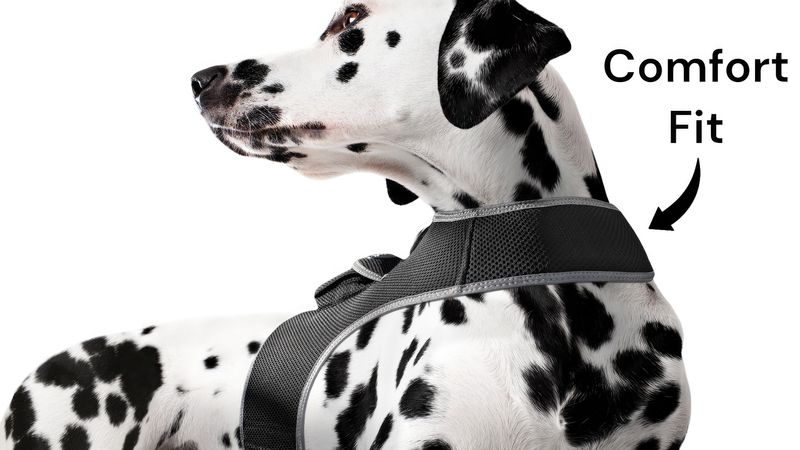 Realtime Pet Tracking GPS GSM Mini Waterproof Portable Cat/Dog Tracker Size:XXL_voghion.com