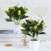 Hjem og have Simuleret citrontræ Citronfrugt Simuleret bær Betydning Boligindretning Gulvstående blomsterkunst Grønne planteornamenter_voghion.com