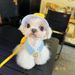 Heartwarming Spring Summer Pet Chest Harness Cat Dog Clothes Outing Duck Leash Set_voghion.com